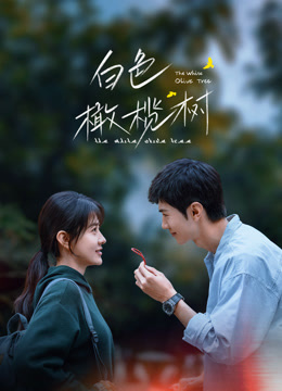 白色橄榄树